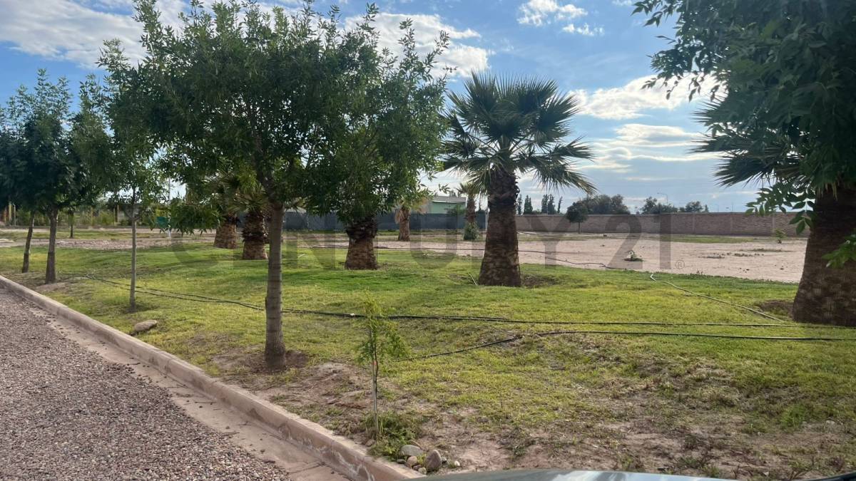 Terreno en Venta en Maipu, Mendoza