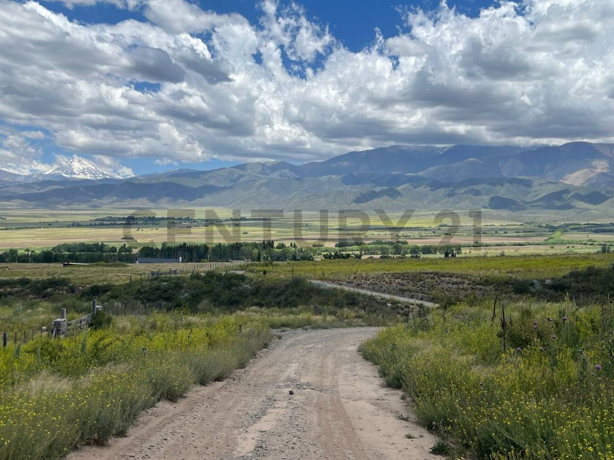Terreno en Venta en Tupungato, Mendoza