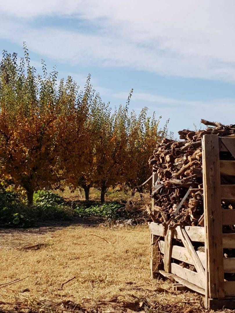 Casa Quinta en Venta en Tunuyan, Mendoza