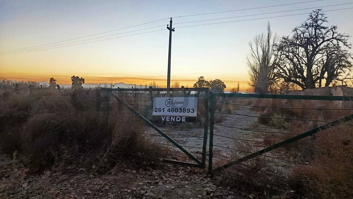 Campo en Venta en San Martin, Mendoza