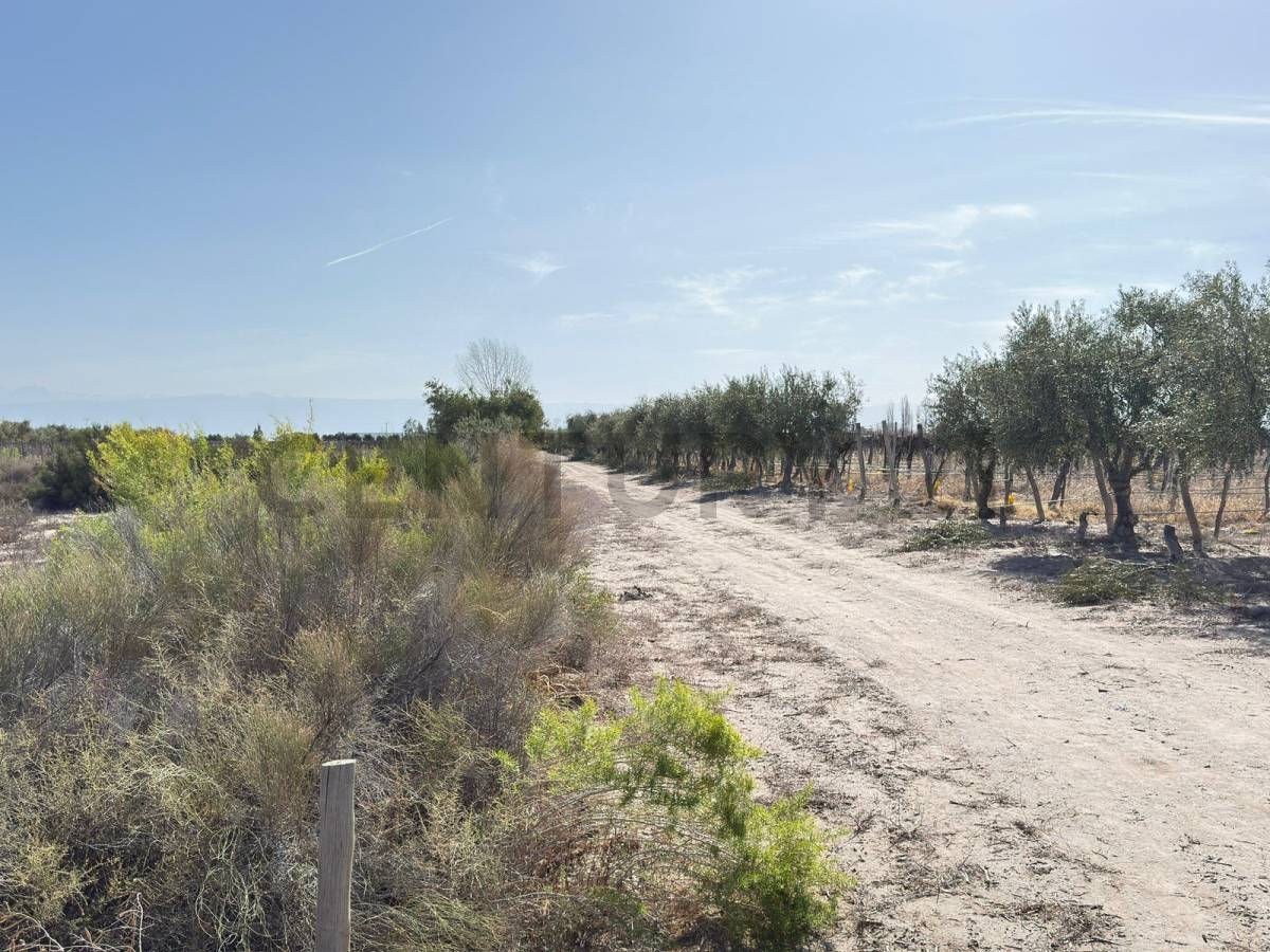 Terreno en Venta en Lavalle, Mendoza