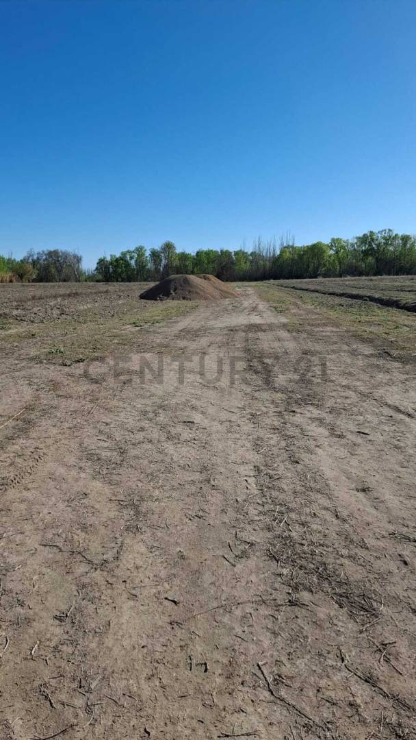 Terreno en Venta en Tunuyan, Mendoza