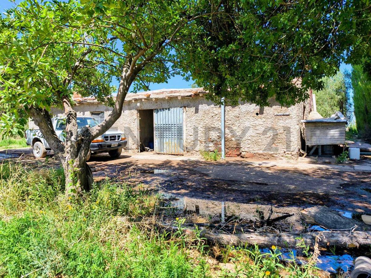 Campo en Venta en San Martin, Mendoza