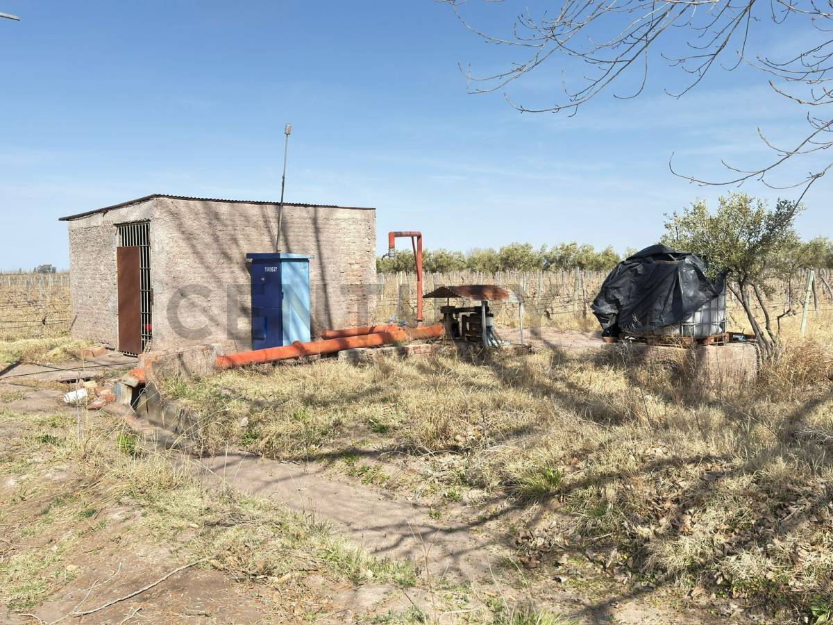 Terreno en Venta en Lavalle, Mendoza