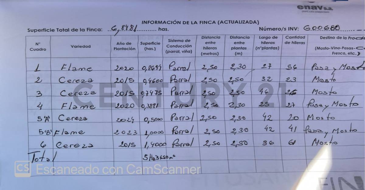 Campo en Venta en Angaco, San Juan
