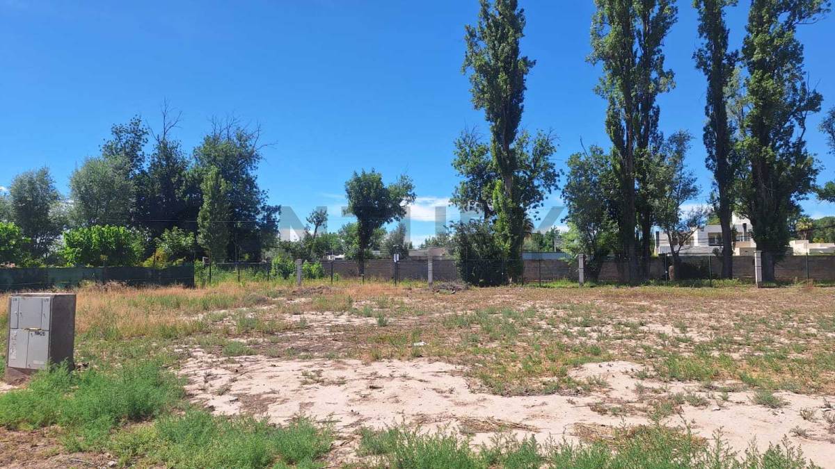Terreno en Venta en Lujan de Cuyo, Mendoza