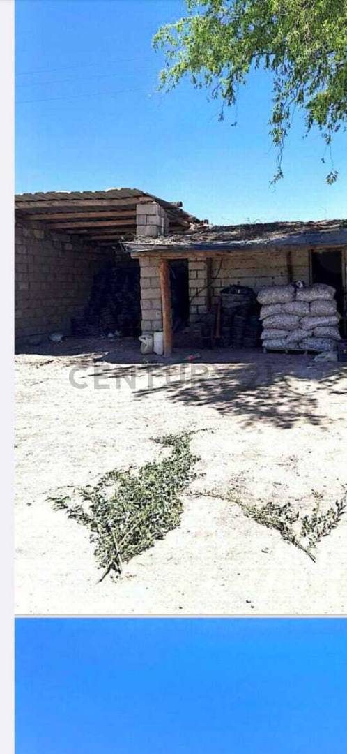 Casa Quinta en Venta en Tupungato, Mendoza
