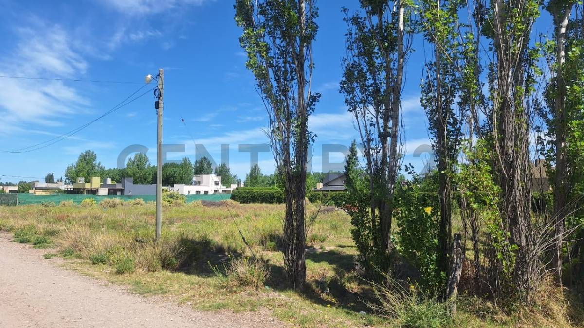 Terreno en Venta en San Rafael, Mendoza