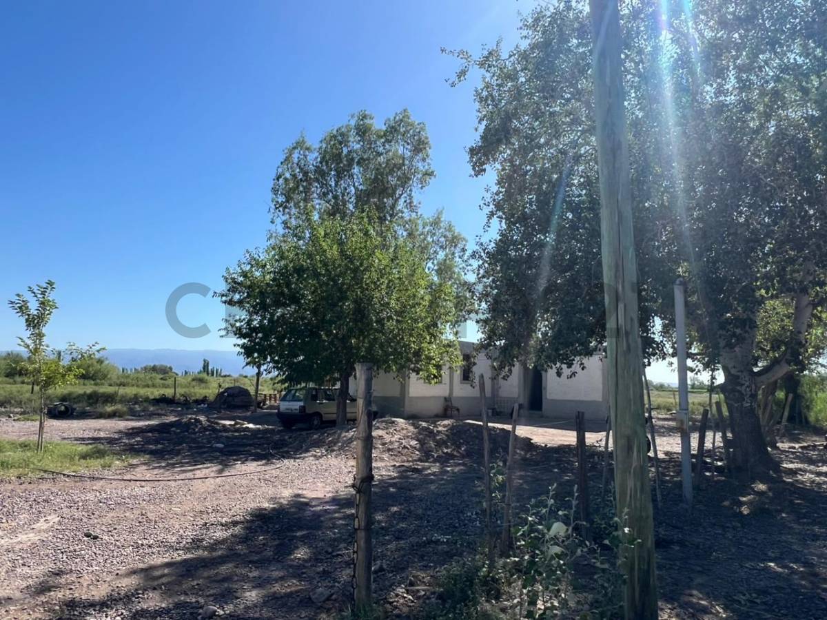 Campo en Venta en 25 de Mayo, San Juan