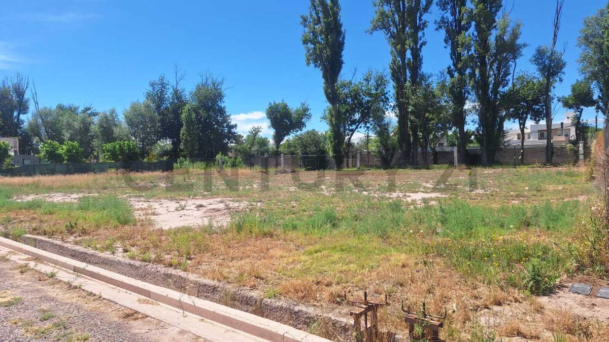 Terreno en Venta en Lujan de Cuyo, Mendoza