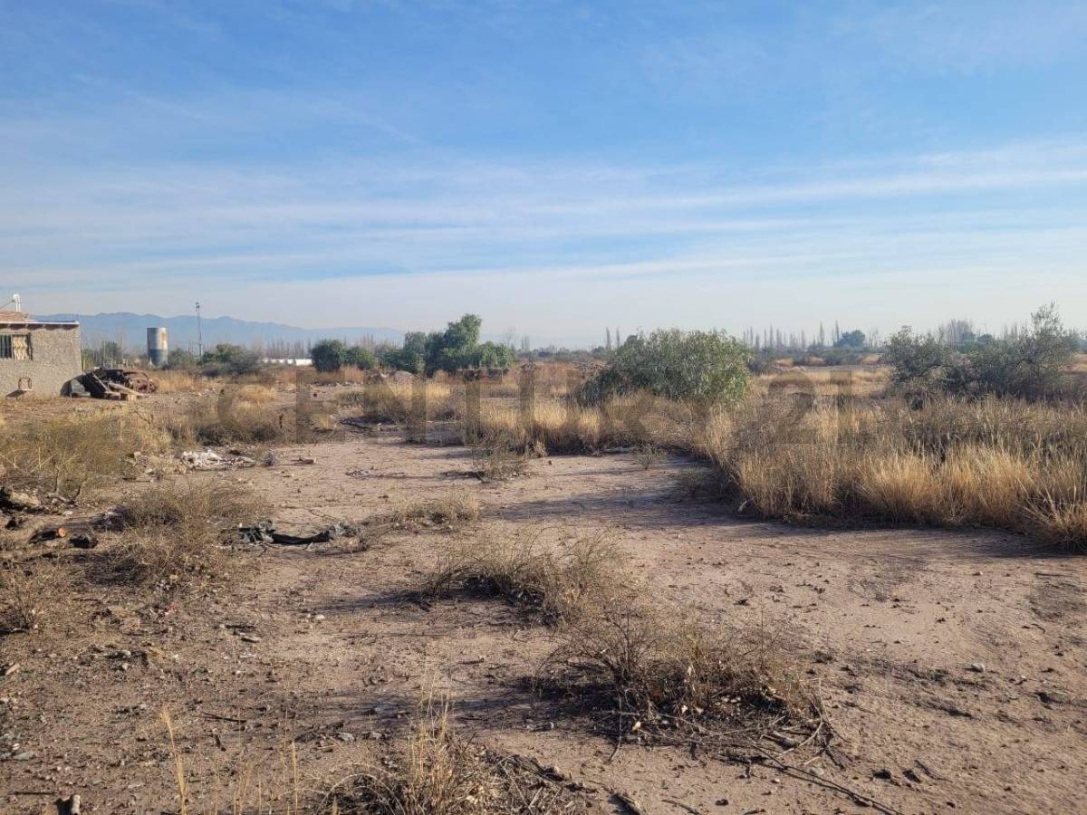Terreno en Venta en Maipu, Mendoza