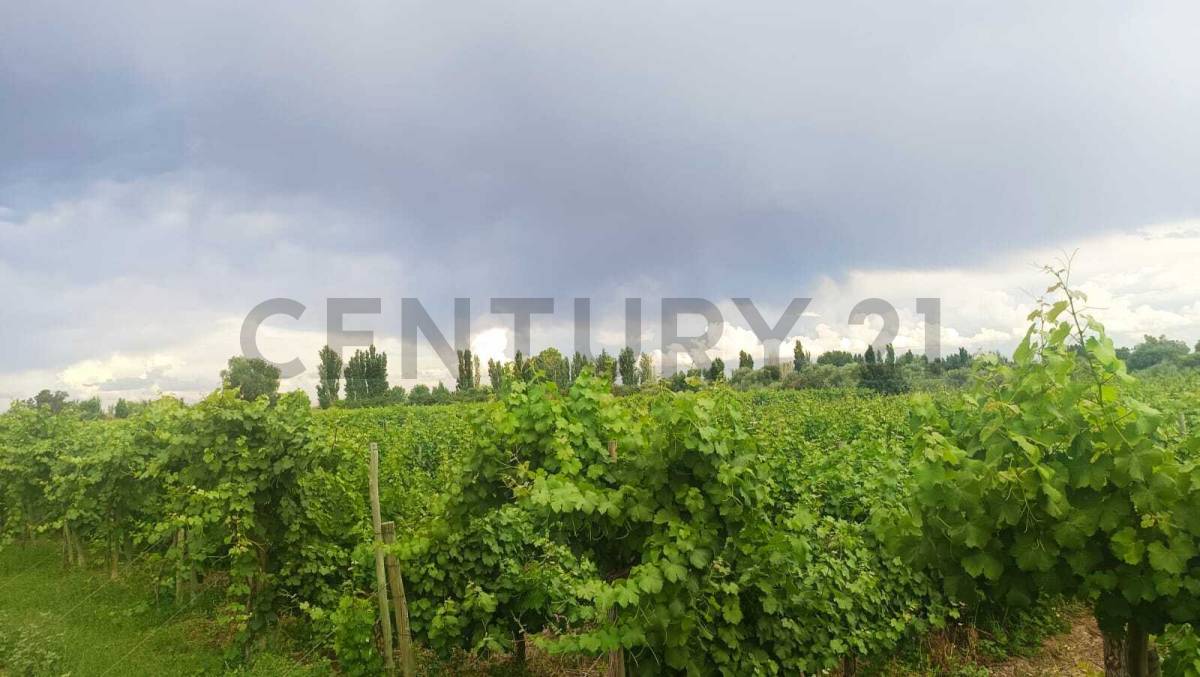 Campo en Venta en Guaymallen, Mendoza