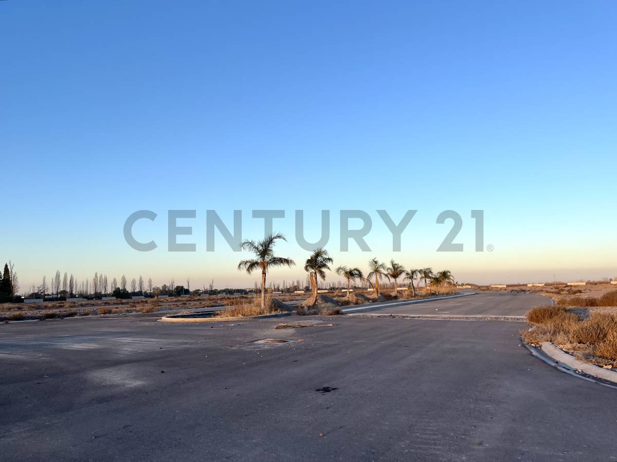 Terreno en Venta en Lujan de Cuyo, Mendoza