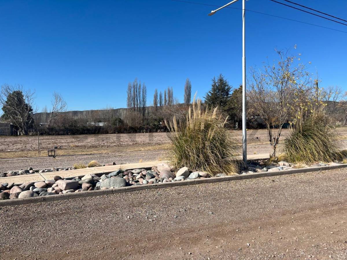 Terreno en Venta en Lujan de Cuyo, Mendoza