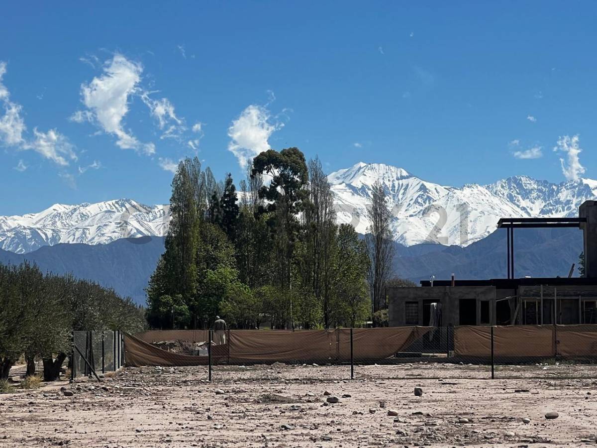 Terreno en Venta en Lujan de Cuyo, Mendoza