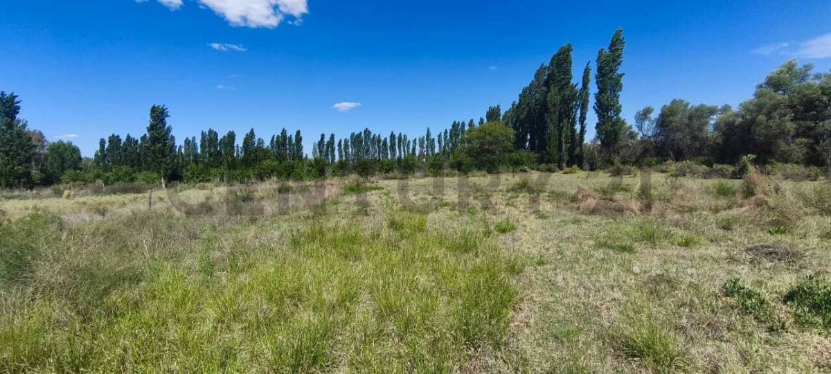 Terreno en Venta en San Rafael, Mendoza