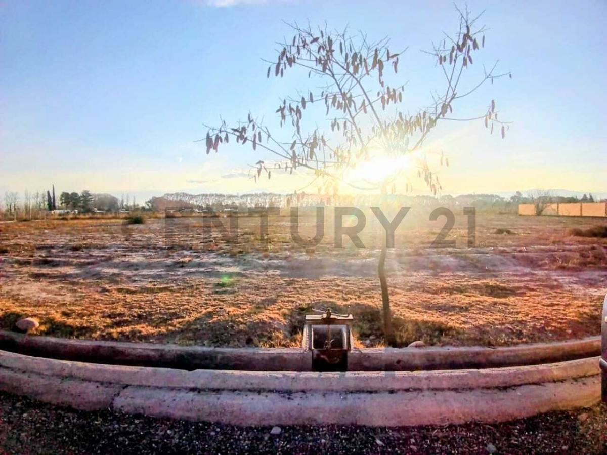 Terreno en Venta en Lujan de Cuyo, Mendoza