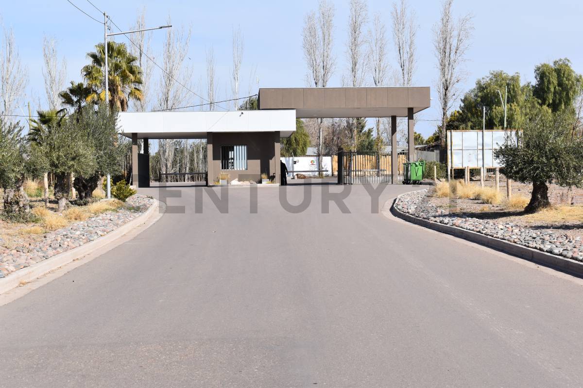 Terreno en Venta en Maipu, Mendoza