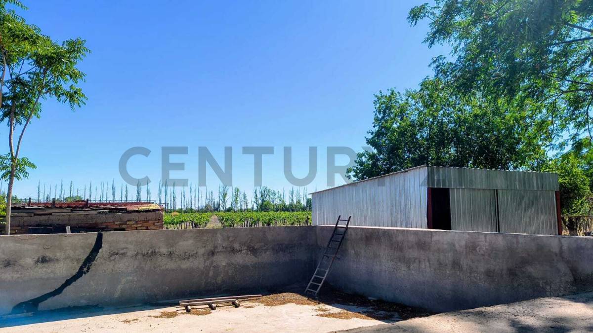 Campo en Venta en San Martin, Mendoza