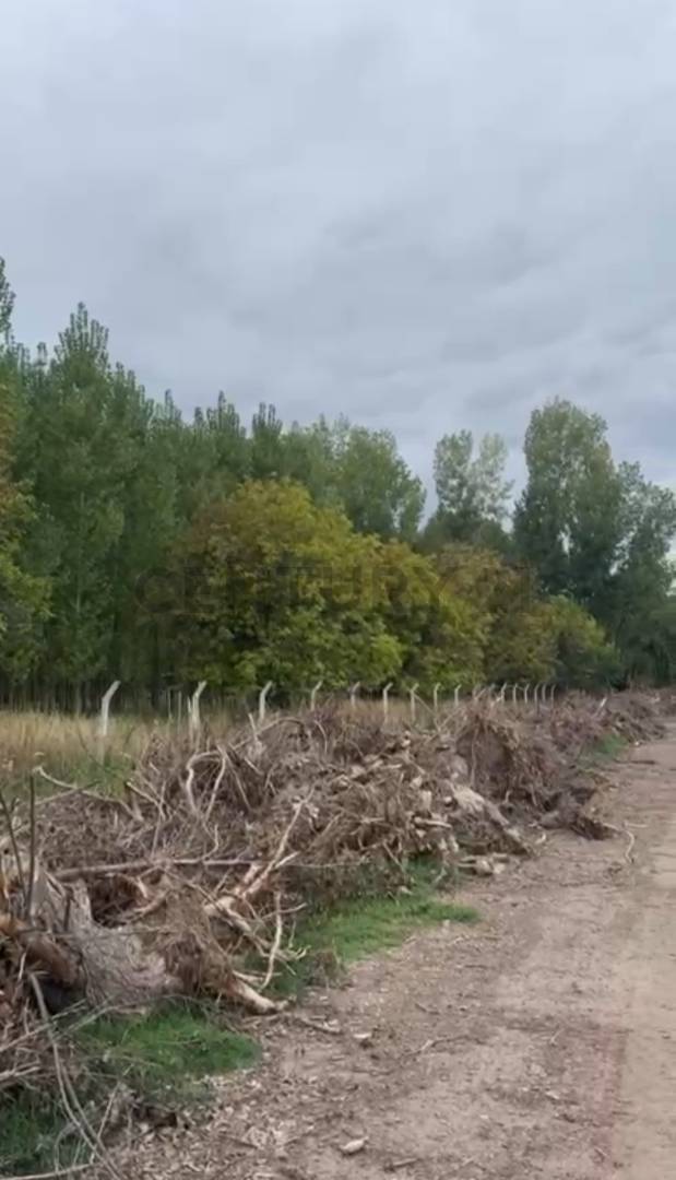 Terreno en Venta en Tunuyan, Mendoza