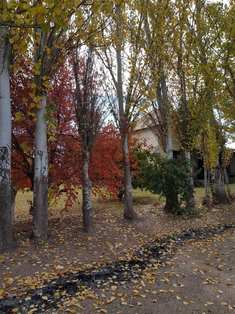 Casa Quinta en Venta en Tunuyan, Mendoza