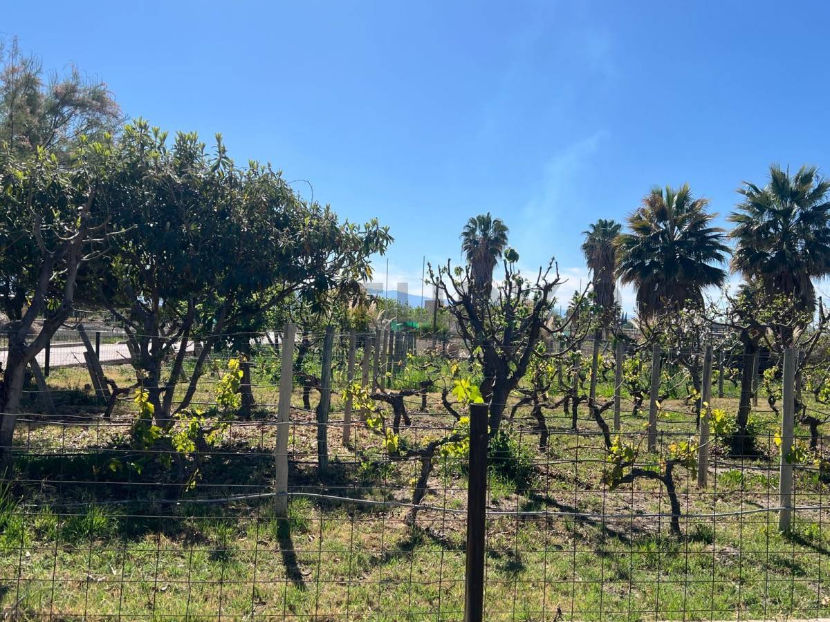 Terreno en Venta en Guaymallen, Mendoza