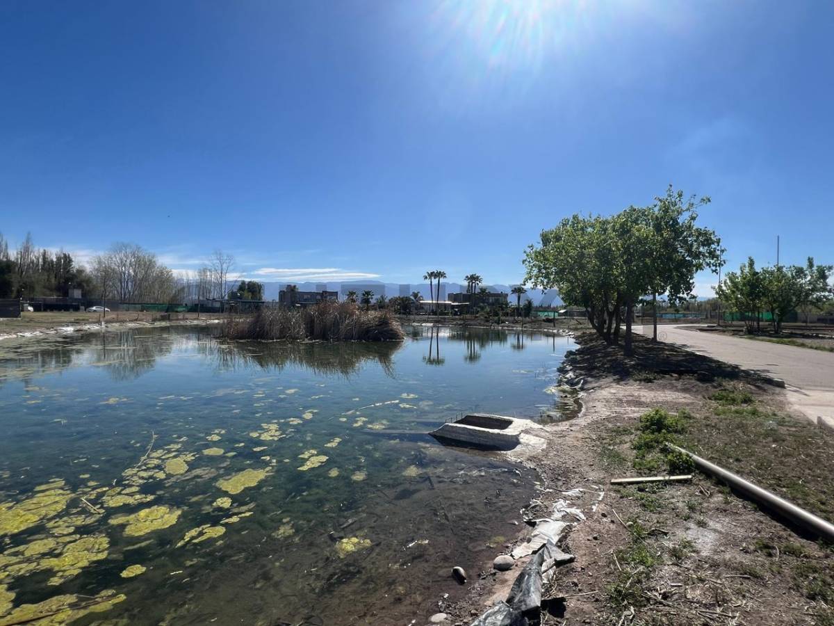 Terreno en Venta en Guaymallen, Mendoza