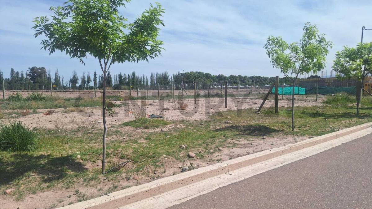 Terreno en Venta en Lujan de Cuyo, Mendoza