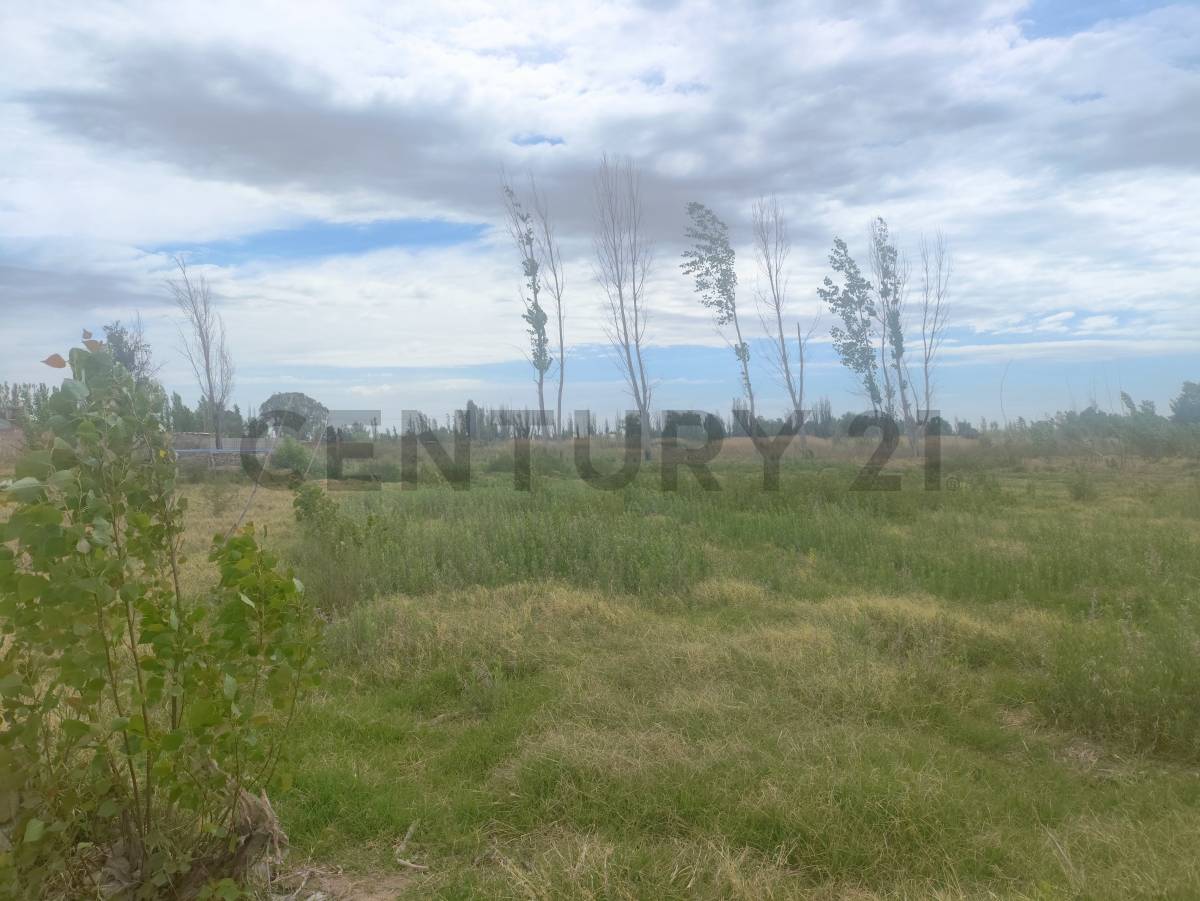 Terreno en Venta en Guaymallen, Mendoza