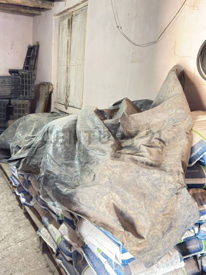 Terreno en Venta en Lavalle, Mendoza