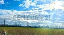 Campo en Venta en Tunuyan, Mendoza