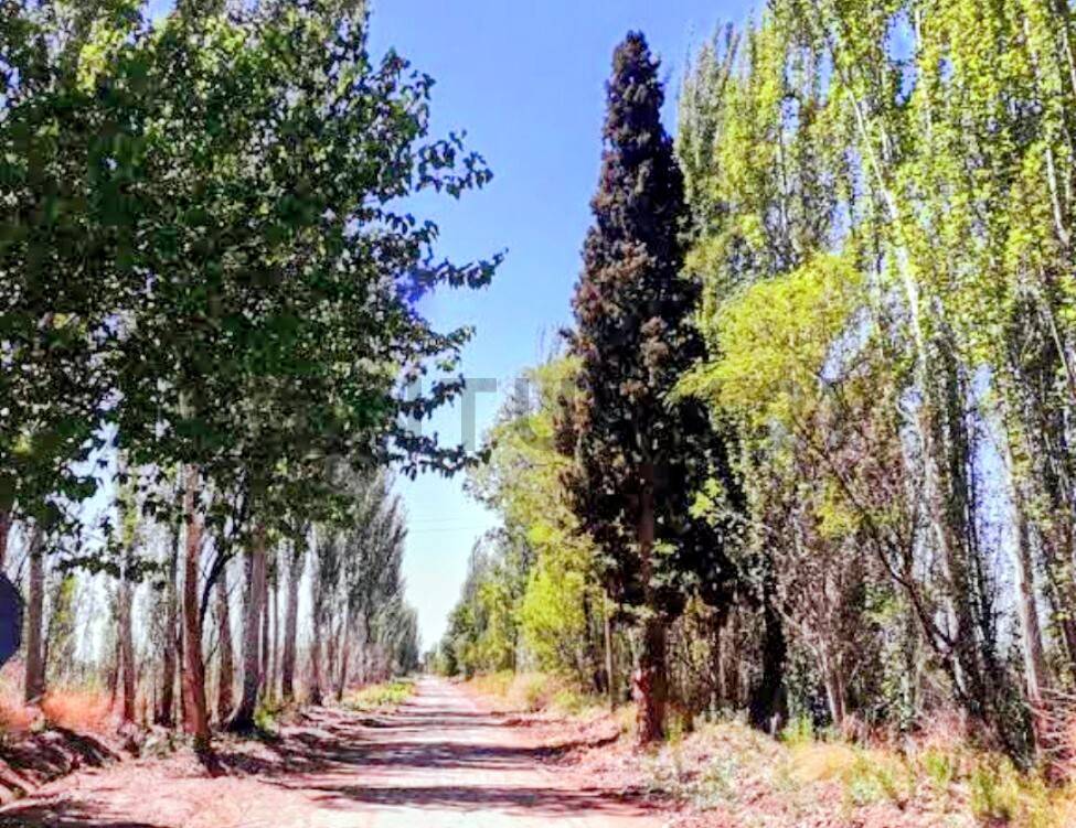 Terreno en Venta en Lavalle, Mendoza