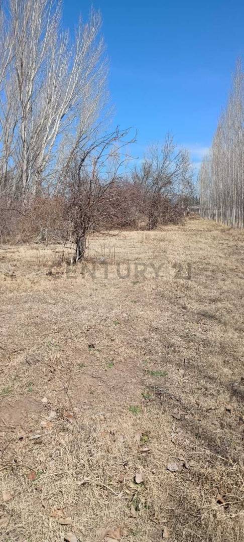 Terreno en Venta en Tunuyan, Mendoza