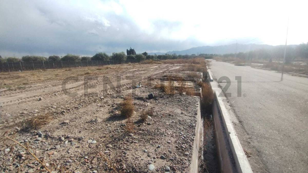Terreno en Venta en Lujan de Cuyo, Mendoza