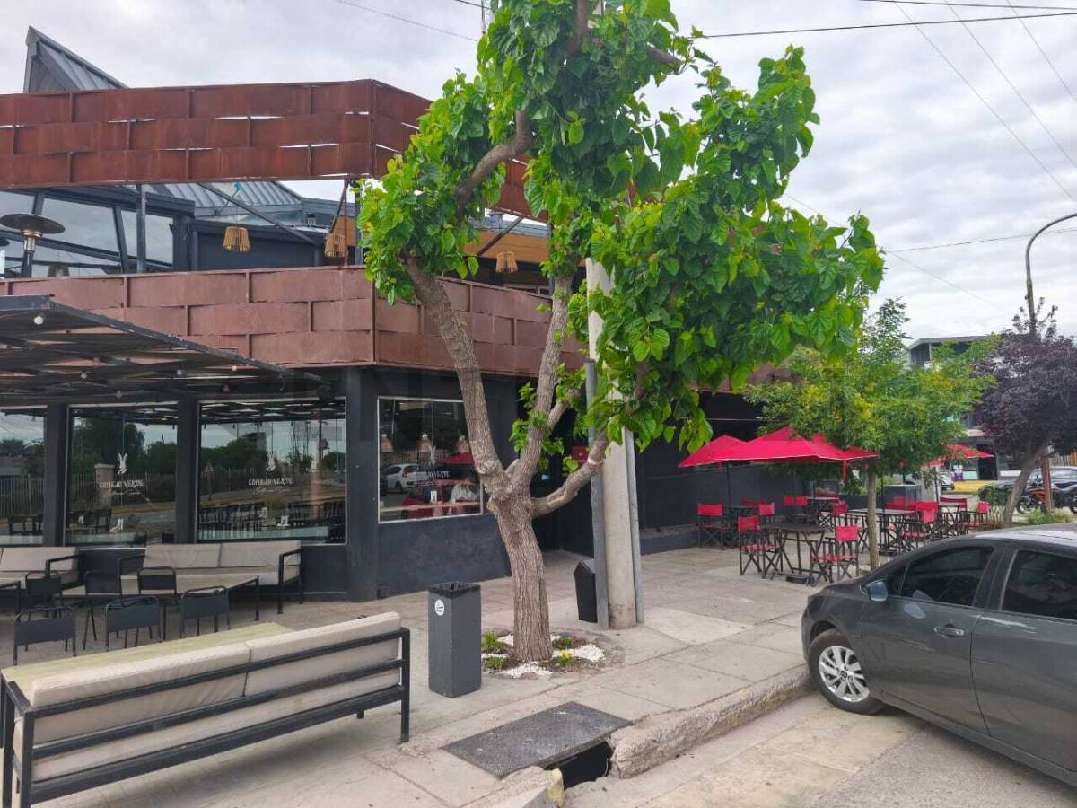 Fondo de Comercio en Venta en Lujan de Cuyo, Mendoza