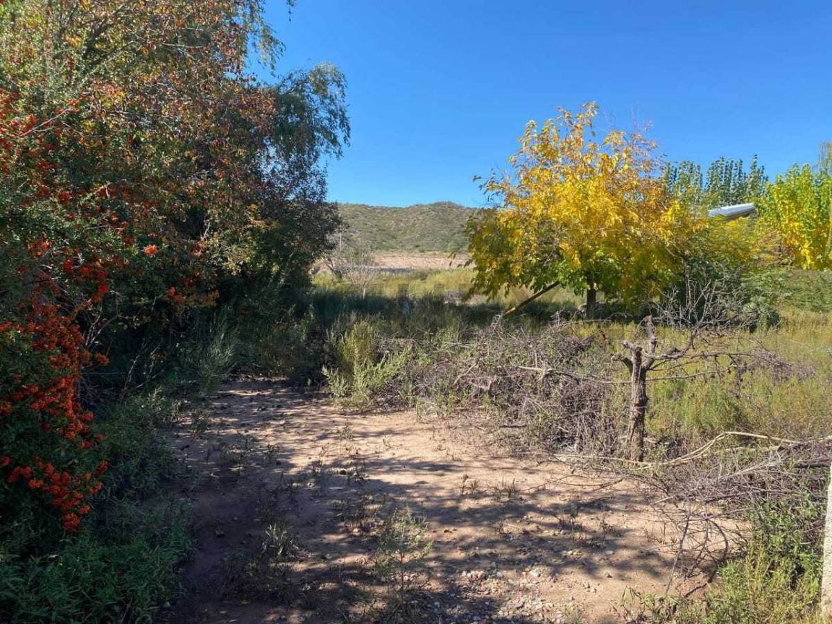 Terreno en Venta en Lujan de Cuyo, Mendoza