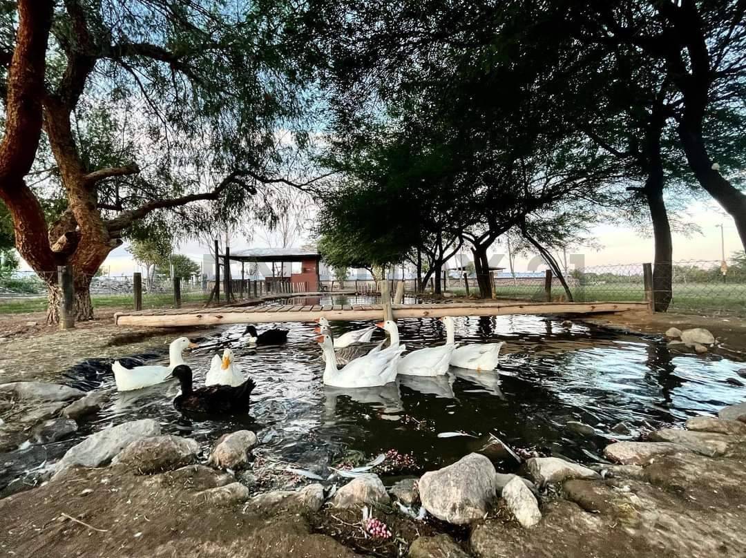 Casa Quinta en Venta en Lavalle, Mendoza
