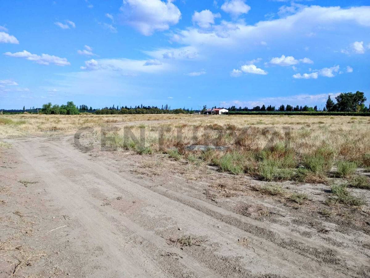 Casa Quinta en Venta en San Rafael, Mendoza