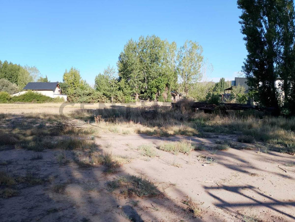 Terreno en Venta en Lujan de Cuyo, Mendoza