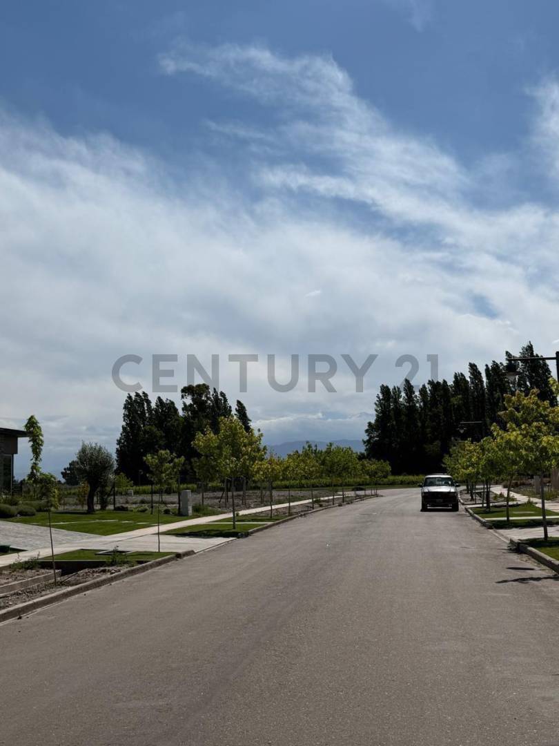 Terreno en Venta en Lujan de Cuyo, Mendoza