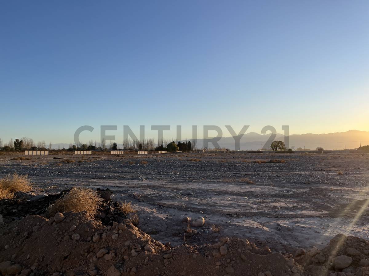Terreno en Venta en Lujan de Cuyo, Mendoza