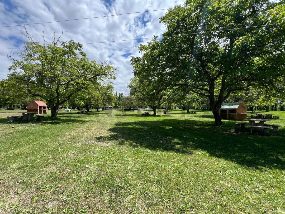 Campo en Venta en Tunuyan, Mendoza