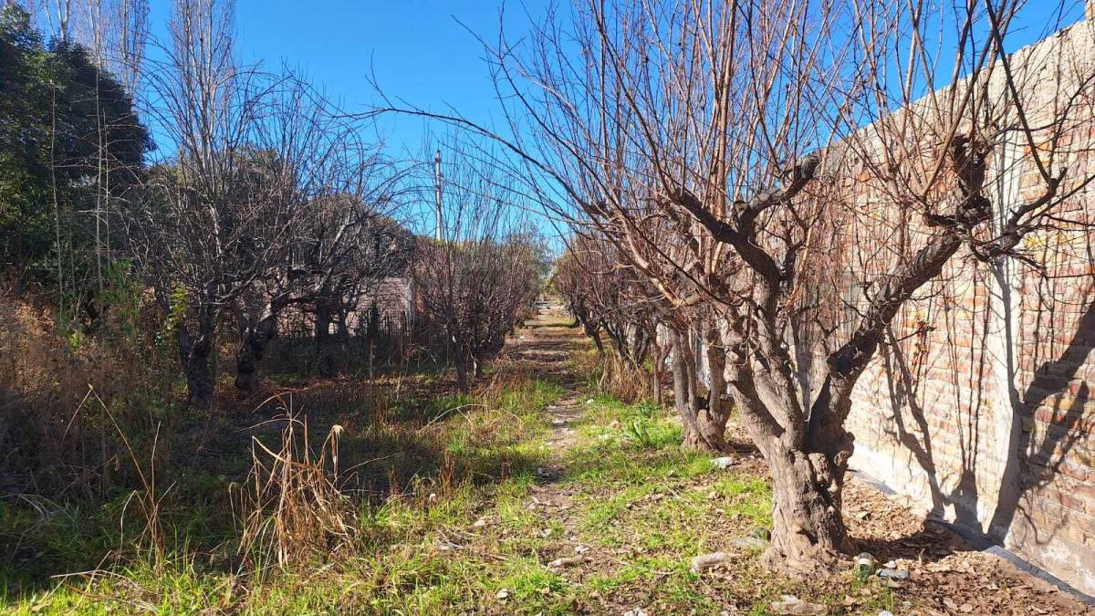 Casa en Venta en Maipu, Mendoza
