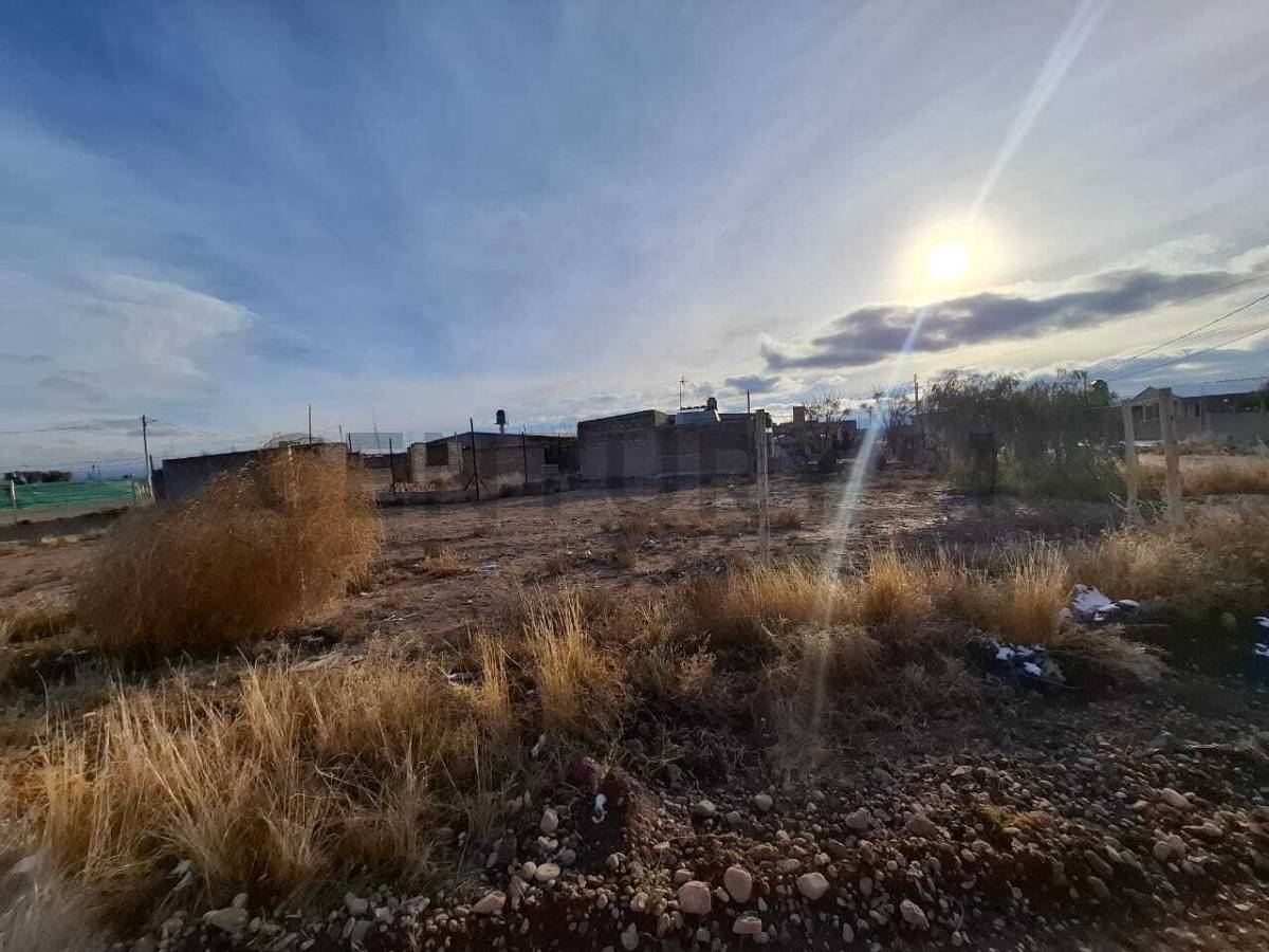 Terreno en Venta en Lujan de Cuyo, Mendoza