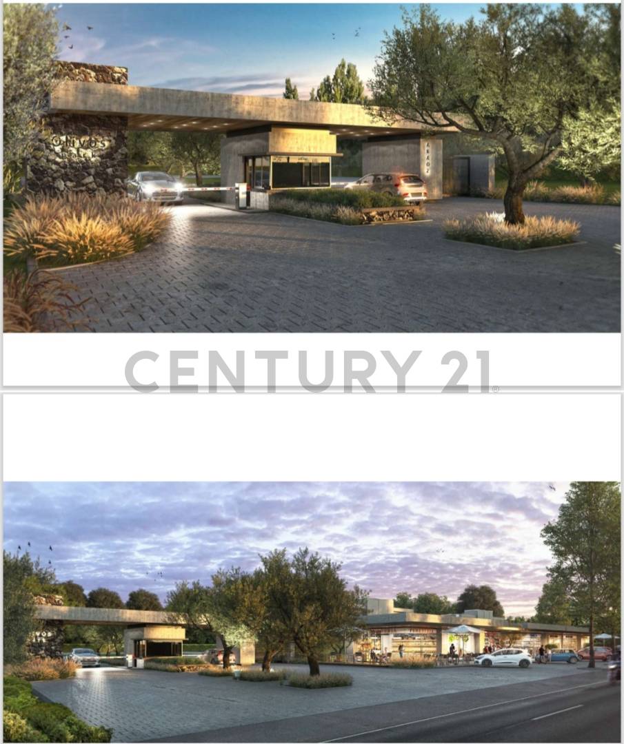 Terreno en Venta en Lujan de Cuyo, Mendoza
