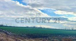 Campo en Venta en Tunuyan, Mendoza
