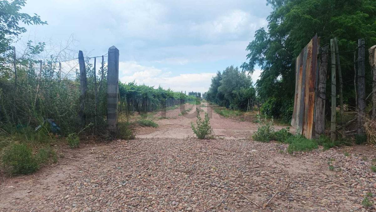 Campo en Venta en Guaymallen, Mendoza