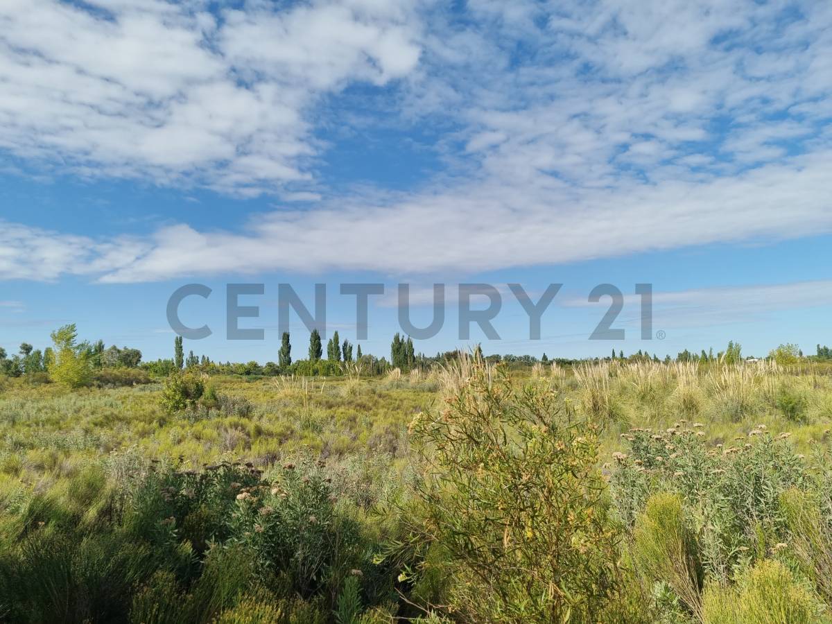 Terreno en Venta en San Rafael, Mendoza