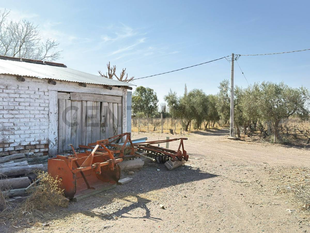 Terreno en Venta en Lavalle, Mendoza