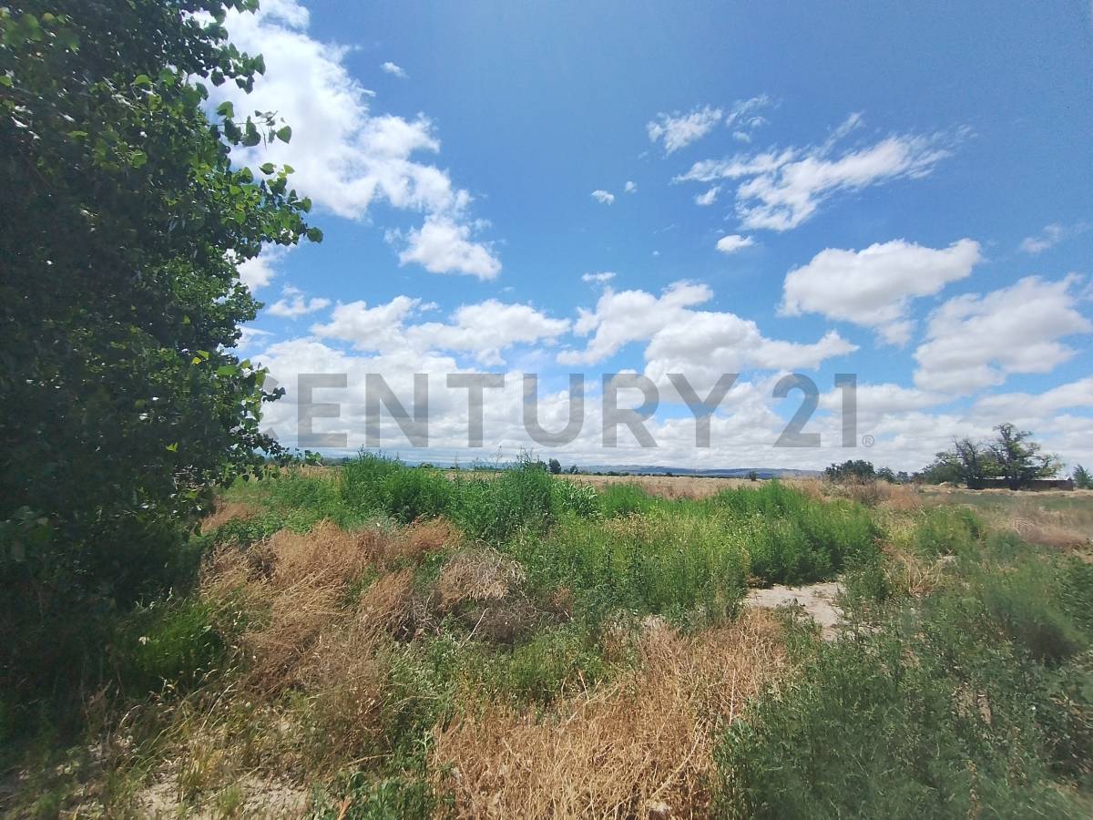 Casa Quinta en Venta en Tupungato, Mendoza